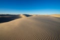 Monahan sandhills state park texas Royalty Free Stock Photo