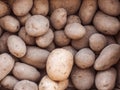 Monalisa Potatoes with one Kennebec on the top Royalty Free Stock Photo