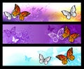 Monarch butterflies on multicolors banners