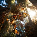 Monarch butterflies Danaus plexippus  Made With Generative AI illustration Royalty Free Stock Photo