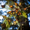 Monarch butterflies Danaus plexippus  Made With Generative AI illustration Royalty Free Stock Photo