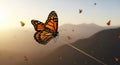 Monarch Butterfly Migration at Sunset Royalty Free Stock Photo