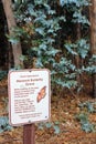 Monarch Butterfly Grove, Pismo Beach, California