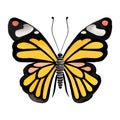 Monarch butterfly. Hand drawn vector illustration. Royalty Free Stock Photo