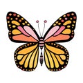 Monarch butterfly. Hand drawn vector illustration. Royalty Free Stock Photo