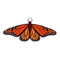 Monarch butterfly isolated vector illustration