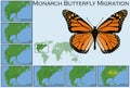 Monarch Butterfly Migration