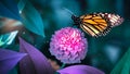 Monarch butterfly on pink flowers in a fairy garden. Summer spring background. Royalty Free Stock Photo