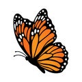 Monarch butterfly, side view. Vector illustration isolated on white background Royalty Free Stock Photo