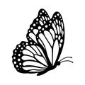 Monarch butterfly silhouette, side view. Vector illustration isolated on white background Royalty Free Stock Photo