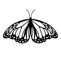 Monarch butterfly silhouette. Vector illustration isolated on white background Royalty Free Stock Photo