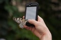 Monarch Butterfly sits Mobile phone in the botanical garden Montreal Royalty Free Stock Photo