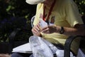 A Monarch butterfly is tagged by a citizen scientist