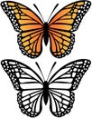 Monarch Butterfly Vector Illustration Royalty Free Stock Photo