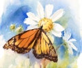 Monarch Butterfly Watercolor Illustration Hand Drawn