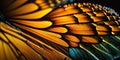 Monarch Butterfly Wing - closeup butterfly wing orange black blue. iridescent, hummingbird, background wallpaper texture