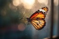Monarch butterfly wing macro detail backlit Royalty Free Stock Photo