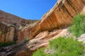 Monarch Cave Ruins, Butler Wash, UT Royalty Free Stock Photo