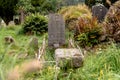 Monastery cemetery of Glendalough, Ireland