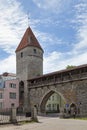 The Monastery Gate in Tallinn Royalty Free Stock Photo