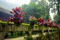 Monastery of Mount Emai Shan Royalty Free Stock Photo