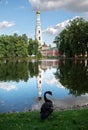 Monastery pond with a black swan and a reflection of the Nikolo-Ugreshsky Monastery of the Russian Orthodox Church