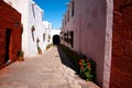 The Monastery of Saint Catherine, Arequipa