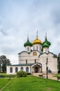 Monastery of Saint Euthymius, Suzdal, Russia Royalty Free Stock Photo