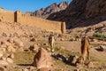 Monastery of St. Catherine and mountains near of Moses mountain, Sinai Egypt Royalty Free Stock Photo
