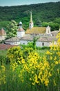 Monastery of Valbonne in Gard Provencal, France