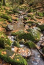 The Monbach brook in the nature reserve Monbachtal