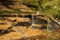 The Monbach brook in the nature reserve Monbachtal