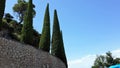 Moncerrat monastry territory. Cypresses