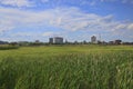 Moncton Skyline In The Distance Royalty Free Stock Photo