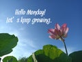 Monday inspirational motivational words - Hello Monday. Let\'s keep growing. With pink lotus flower plant on blue sky.
