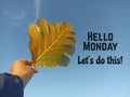 Inspirational motivational Monday quote - Hello Monday. Let\'s do this. With yellow leaf in hand on clear blue sky background
