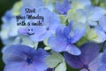 Monday inspirational quote - Start your Monday with a smile. On background of beautiful flower and petals closeup in light blue,