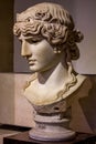 Mondragone Antinous