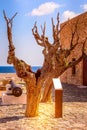 Monemvasia old houses and tree, Greece