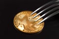 Monero coin under the fork