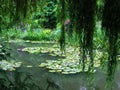 Monet botanical garden Royalty Free Stock Photo