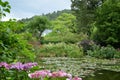 Monet garden, Giverny, France Royalty Free Stock Photo