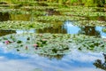 Monet`s Pond at Giverny with water lilies - France Royalty Free Stock Photo