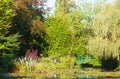 Monet's water lily pond in Giverny