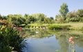 Monets Garden and Lily Pond Royalty Free Stock Photo