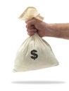 Money Bag Royalty Free Stock Photo