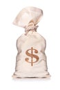 Money Bag Royalty Free Stock Photo