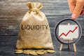 Money bag and arrow up. Increase liquidity and profitability of investments. High interest rates on deposits and securities. Royalty Free Stock Photo