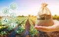 Money bag on the background of agricultural crops in the hand of the farmer. Agricultural startups. Profit from agribusiness. Royalty Free Stock Photo