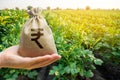 Money bag on the background of agricultural crops in the hand of the farmer. Agricultural startups. Profit from agribusiness. Royalty Free Stock Photo